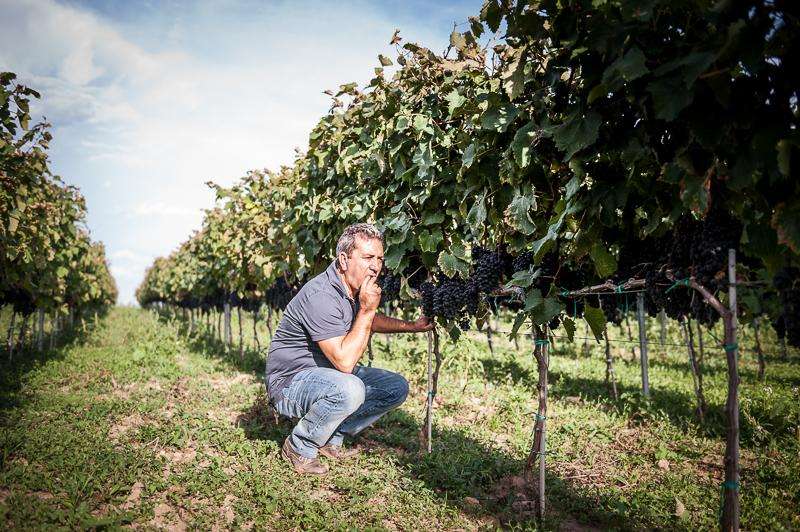 042 ant0221 25settembre2014