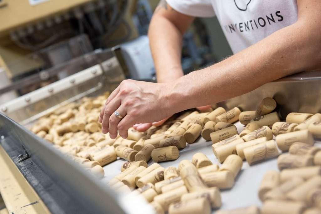 0557 200925 viven 981be