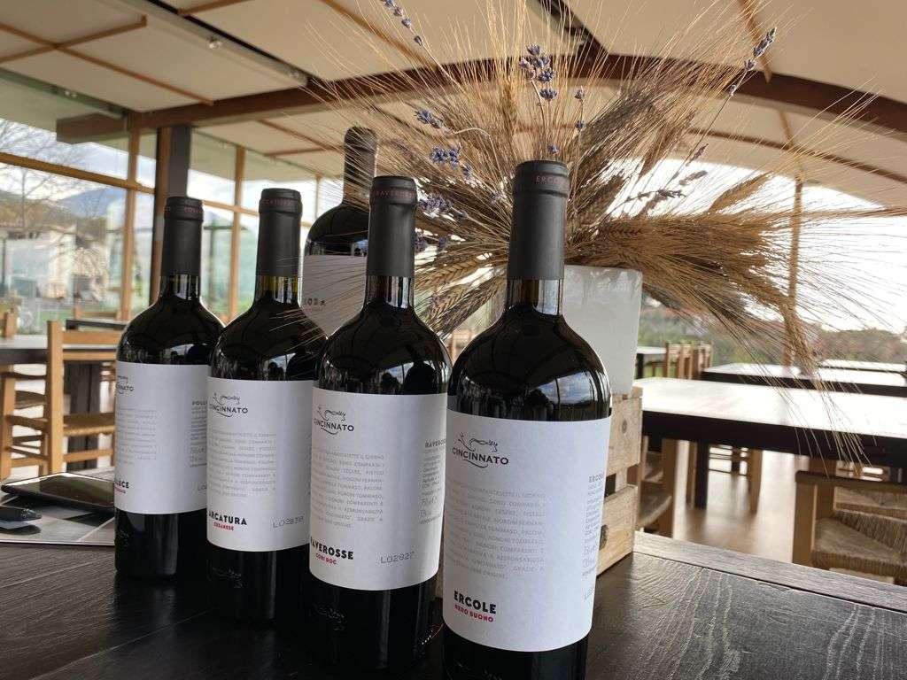 05598355 5e45 4a6d bafd 72cac2416eeb