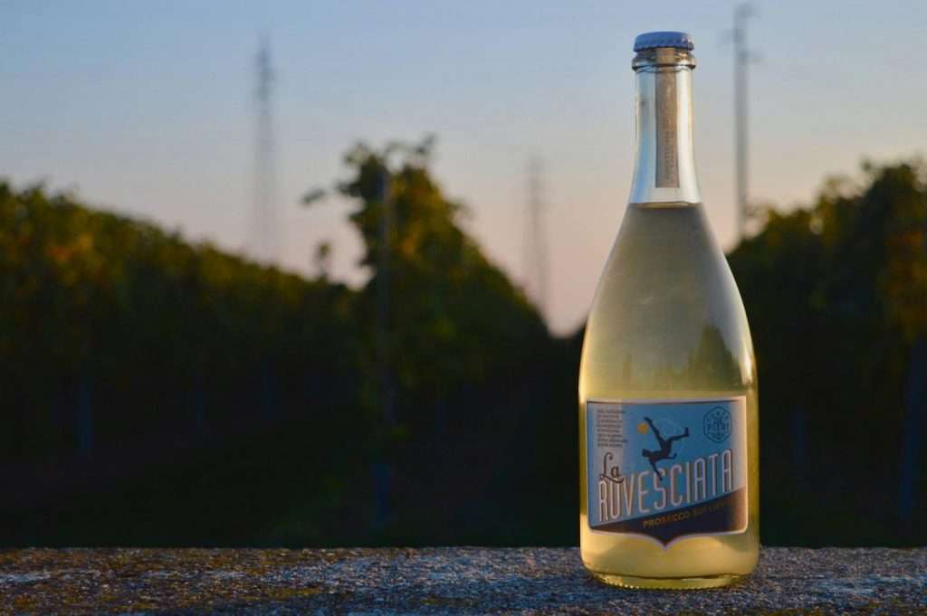 22528765 211314586074410 5912795169806958578 o