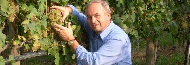 3673716 2037 leonildo pieropan