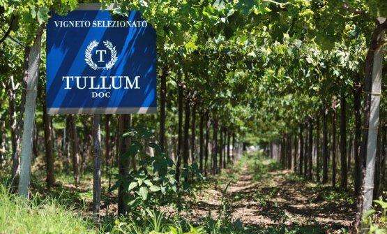 533795 114136538747804 1199103874 n 1