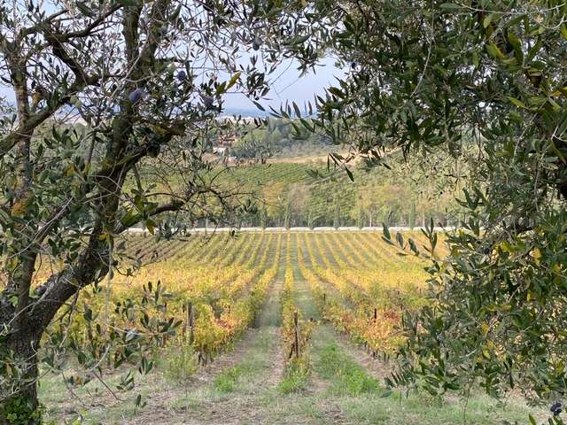 5d4f4ad3 d90a 48a3 b5c5 571fed1890bf