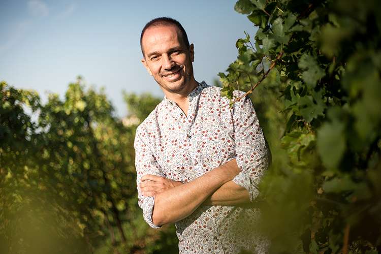 alberto serena montelvini