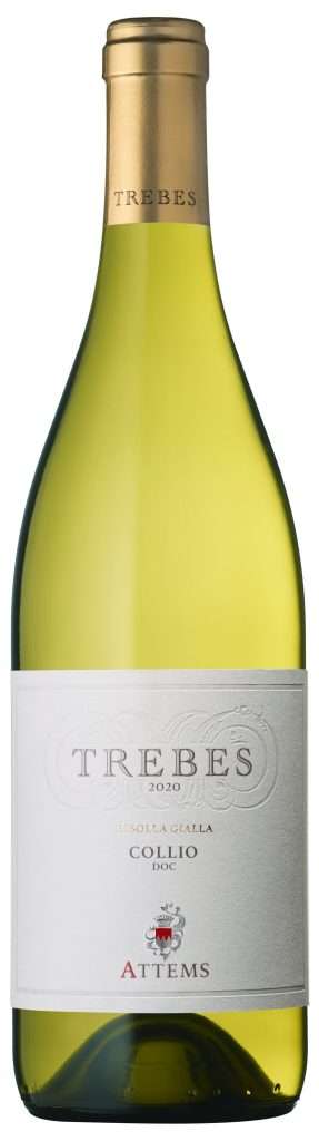 at trebes2020 1 scaled