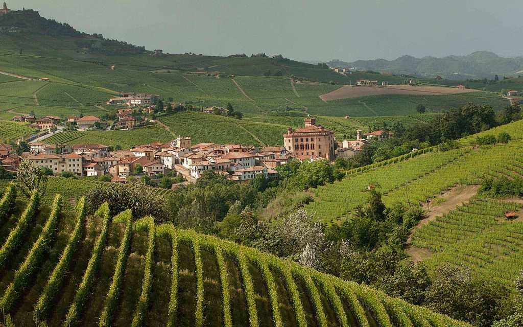 barolo