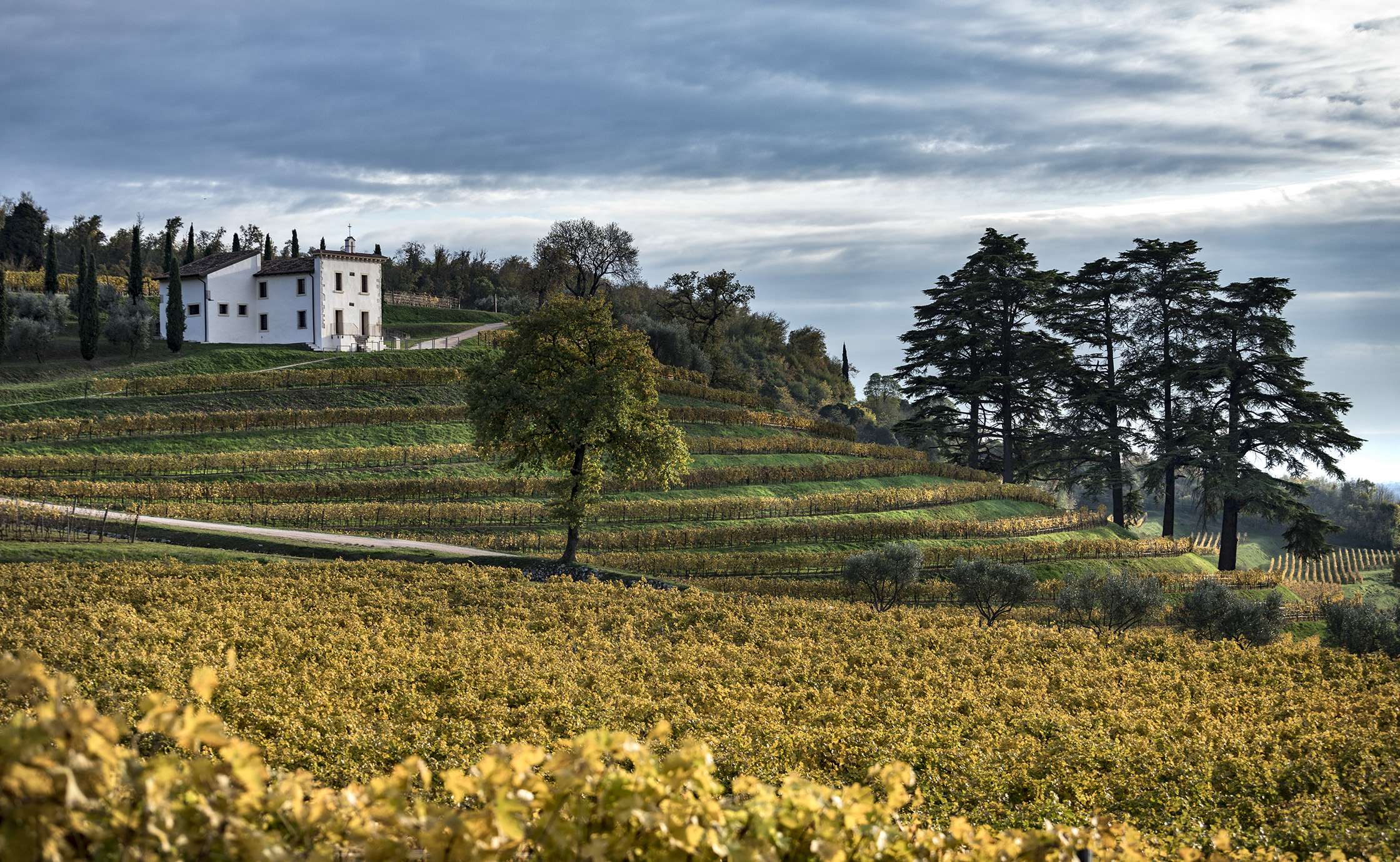 bertaninovare f0a2864