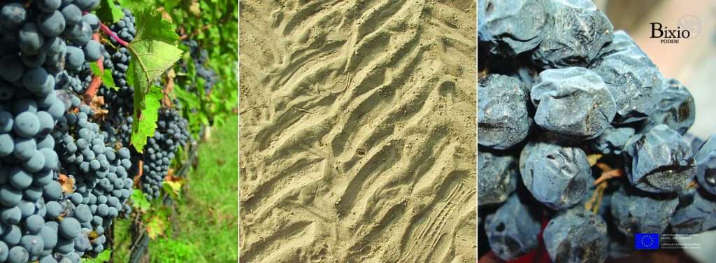 bixio pannello vinitaly arcole 980x360mm