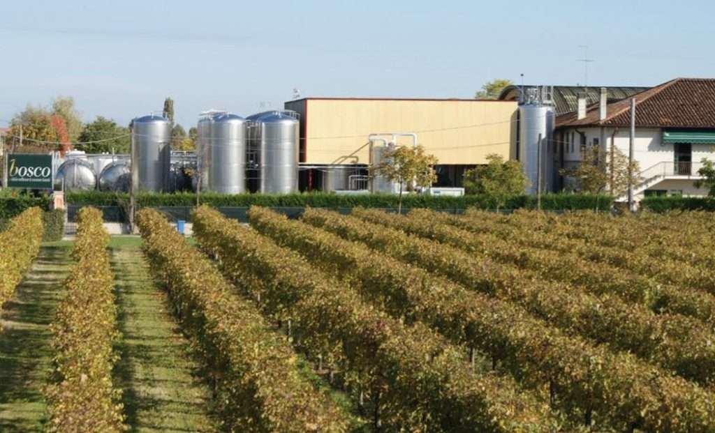 bosco cantina