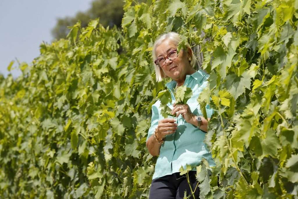 brunello di montalcino cantine donatella cinelli colombini 1551957669