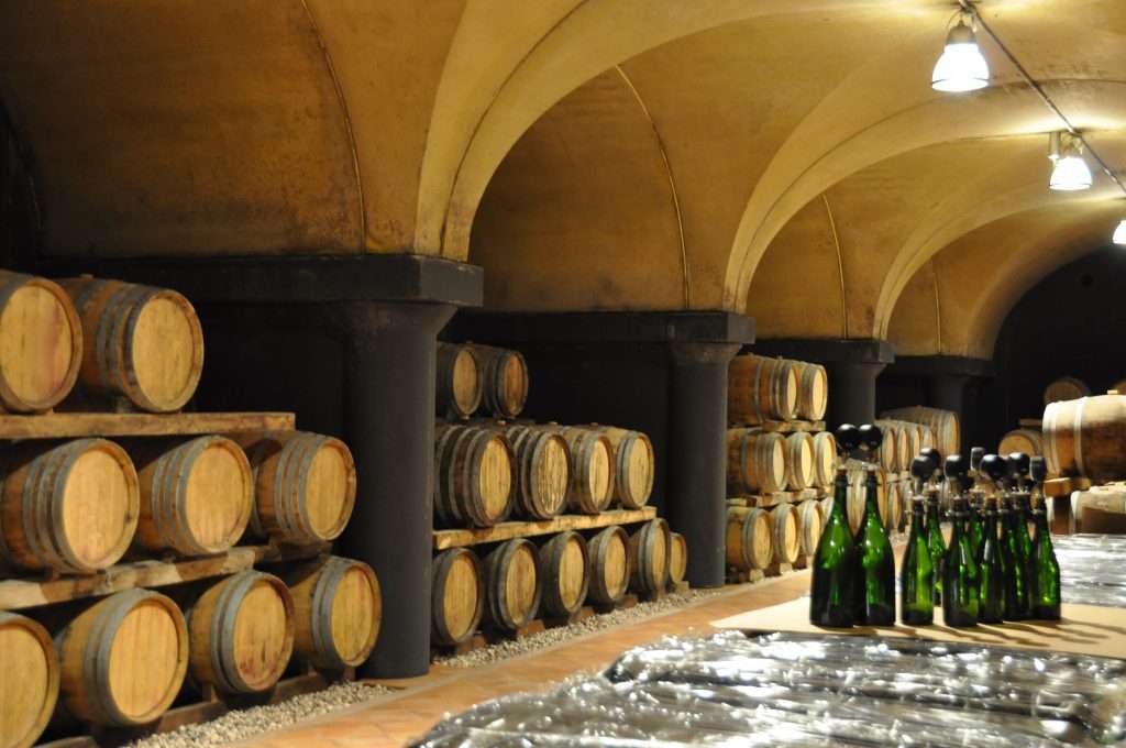 cantaruttifabio scaled