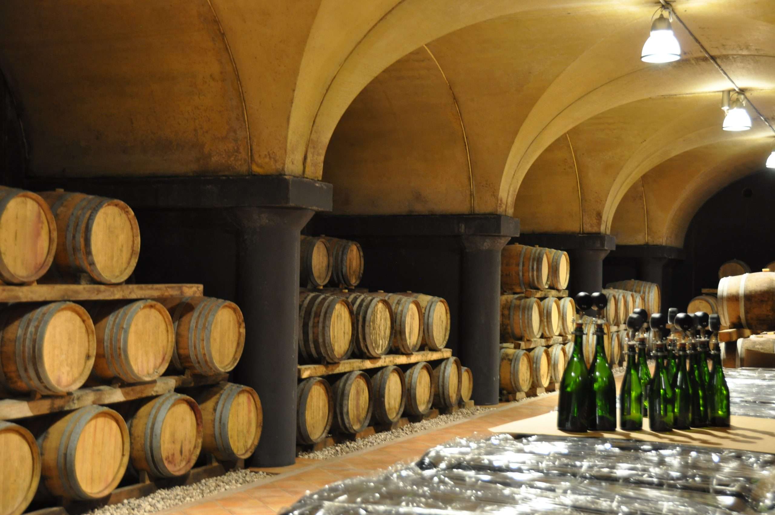 cantaruttifabio scaled