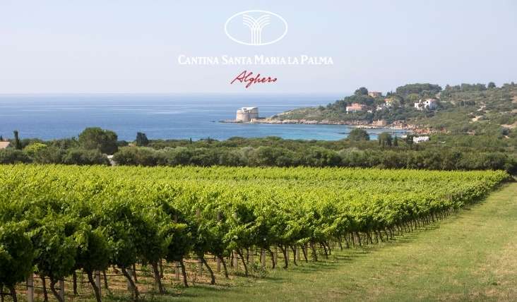 cantina santa maria lapalma vigneto alghero