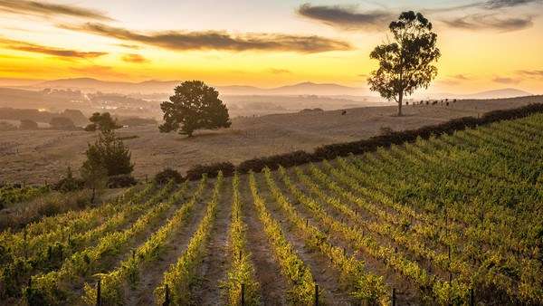 climate change bordeaux