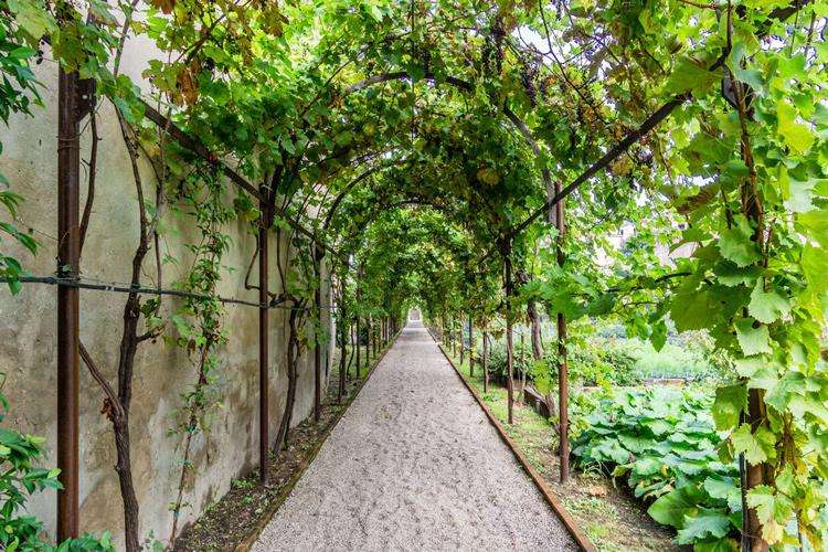 consorzio vini venezia tre itinerari farsi conoscere