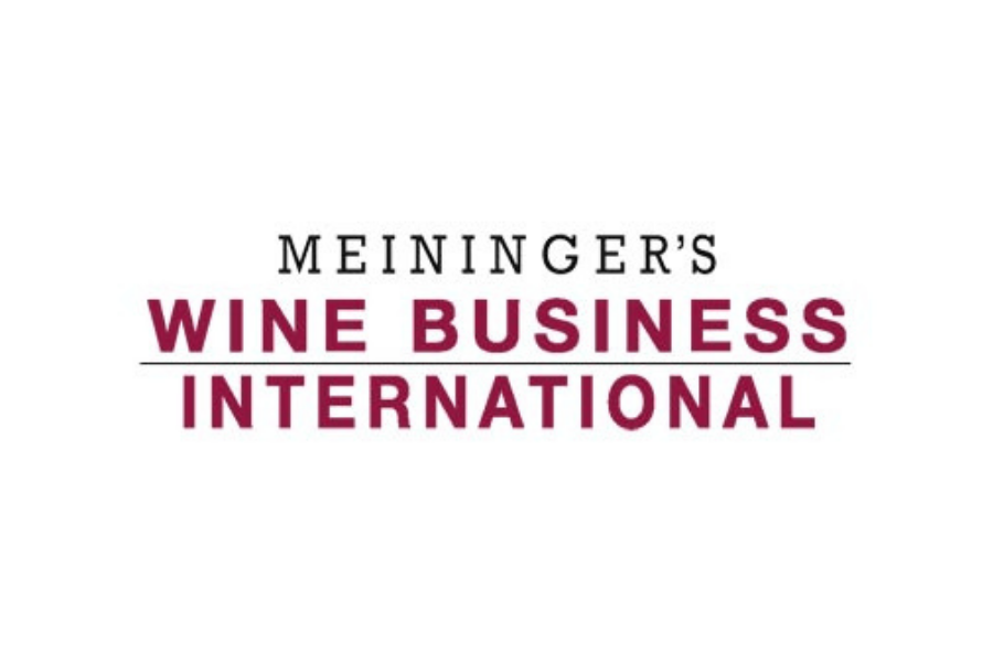 copiadiinternoarticoliwm 1