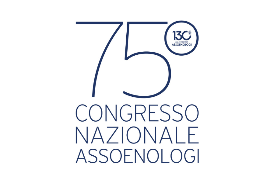 copiadiinternoarticoliwm 116