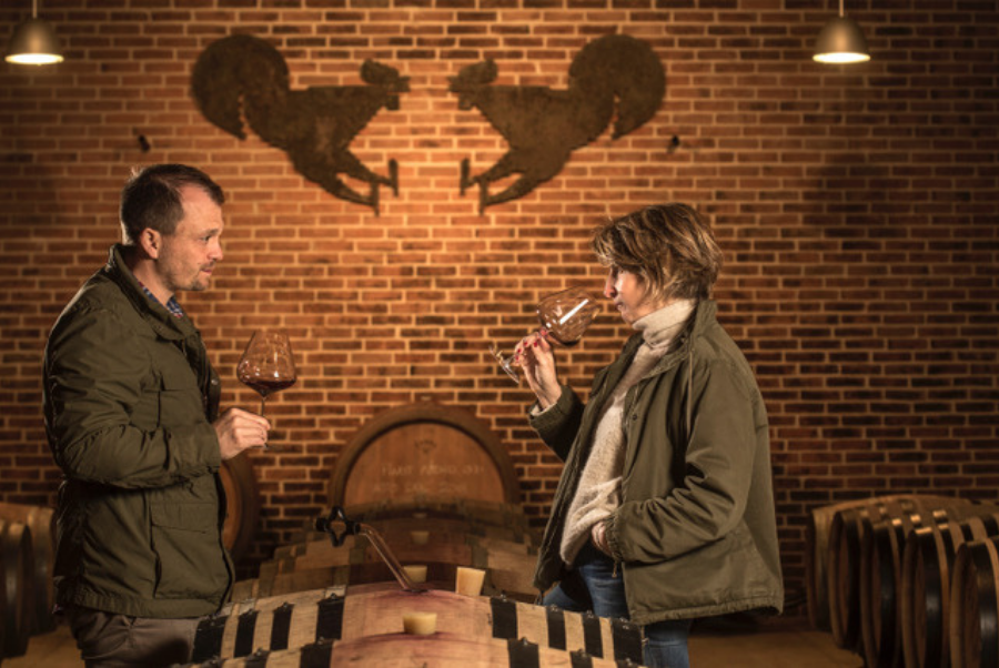 copiadiinternoarticoliwm 119