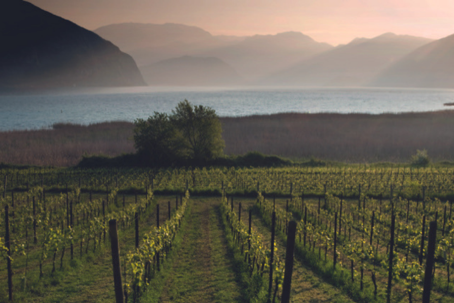 copiadiinternoarticoliwm 122