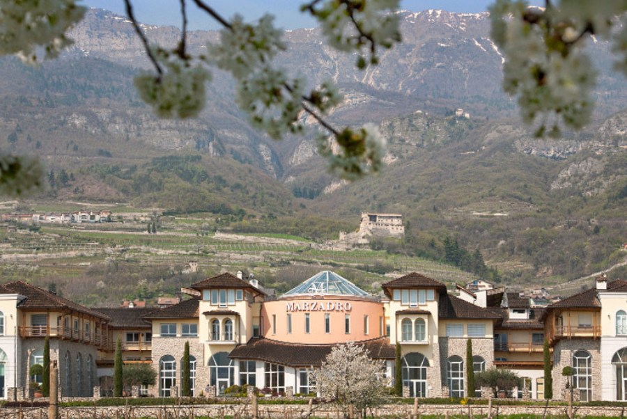 copiadiinternoarticoliwm 128