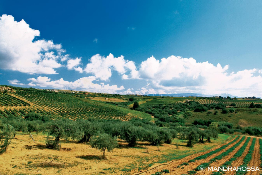 copiadiinternoarticoliwm 129