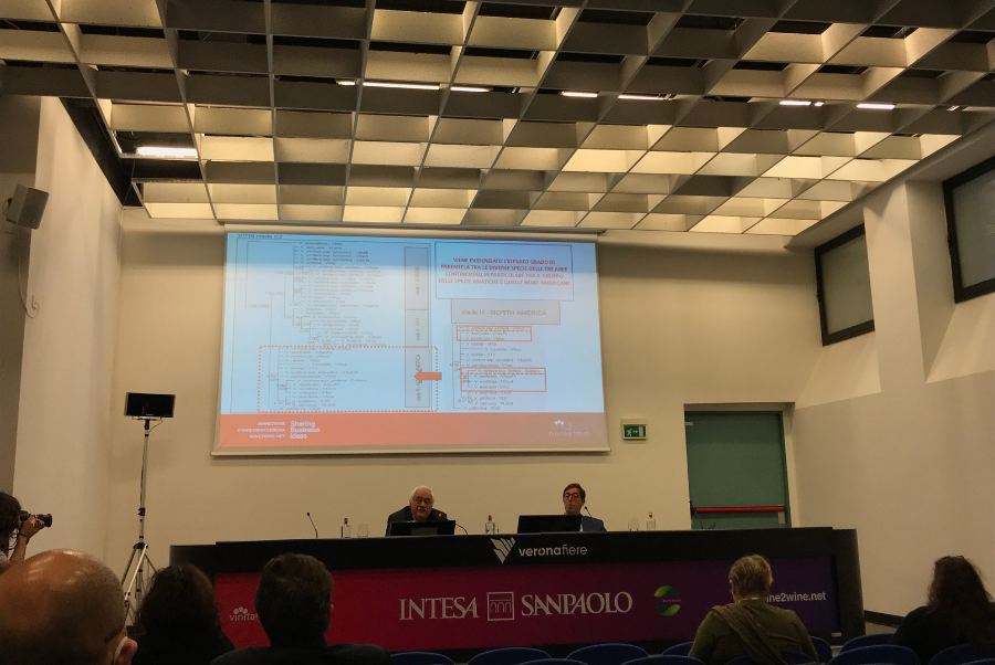 copiadiinternoarticoliwm 148