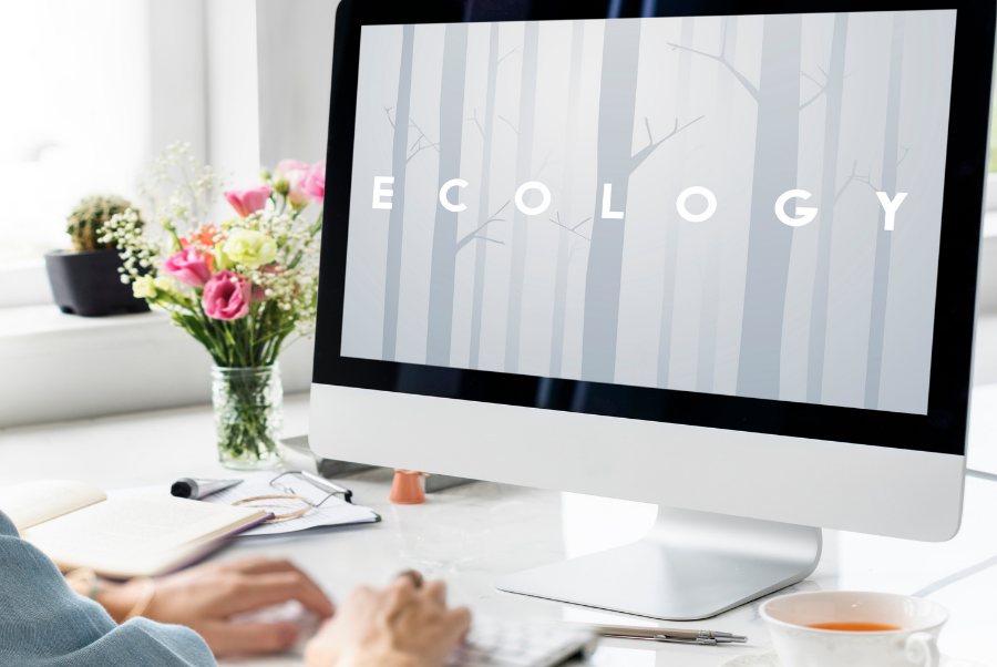 copiadiinternoarticoliwm 159