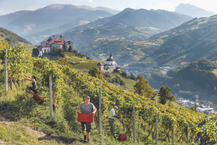 copiadiinternoarticoliwm 161