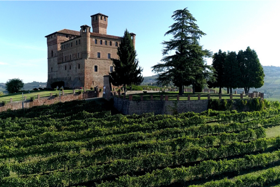 copiadiinternoarticoliwm 169