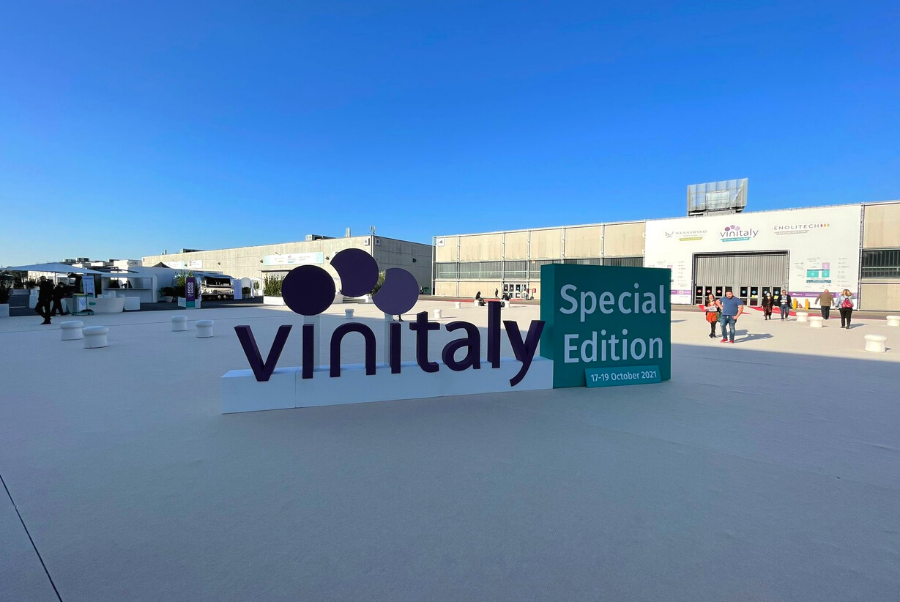 copiadiinternoarticoliwm 195