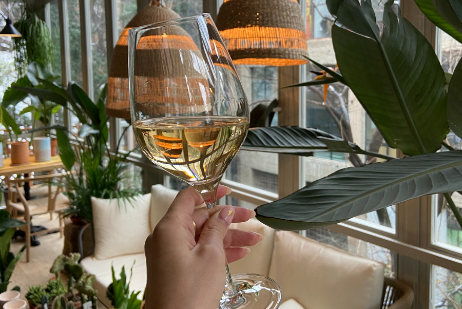 copiadiinternoarticoliwm 217