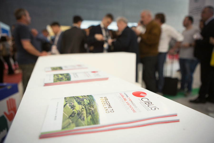 copiadiinternoarticoliwm 228