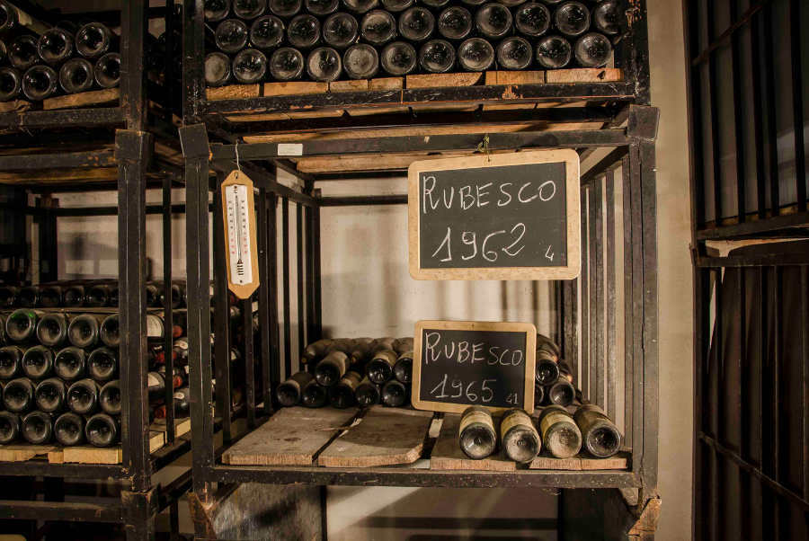 copiadiinternoarticoliwm 23