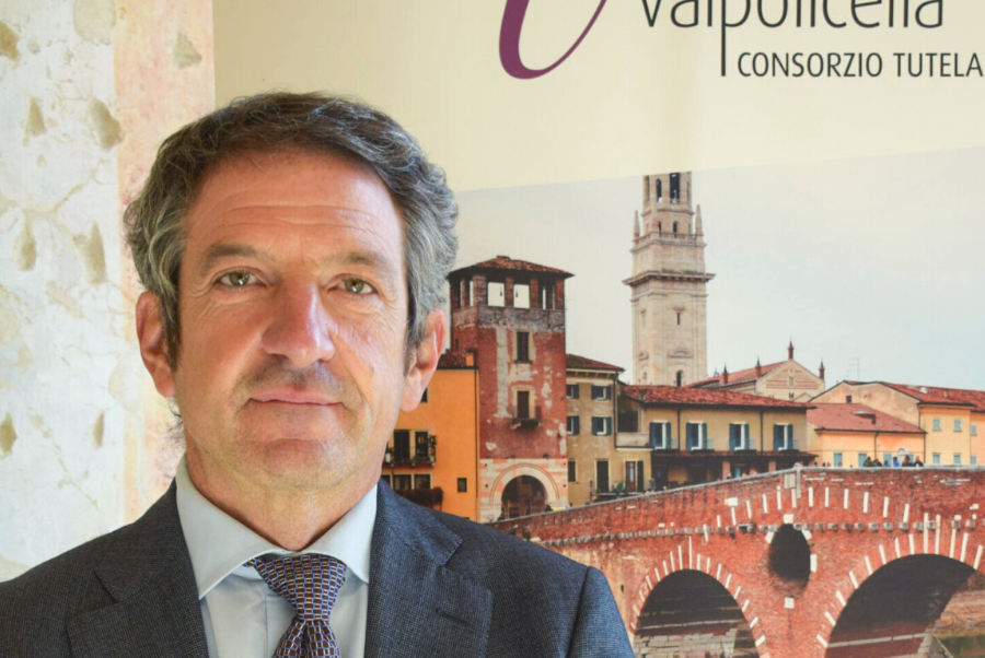 copiadiinternoarticoliwm 236