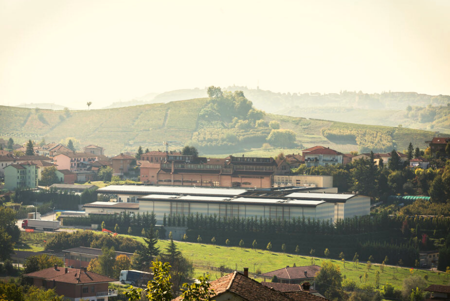 copiadiinternoarticoliwm 240