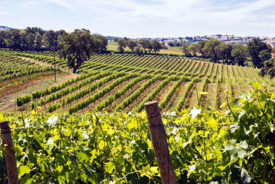 copiadiinternoarticoliwm 48