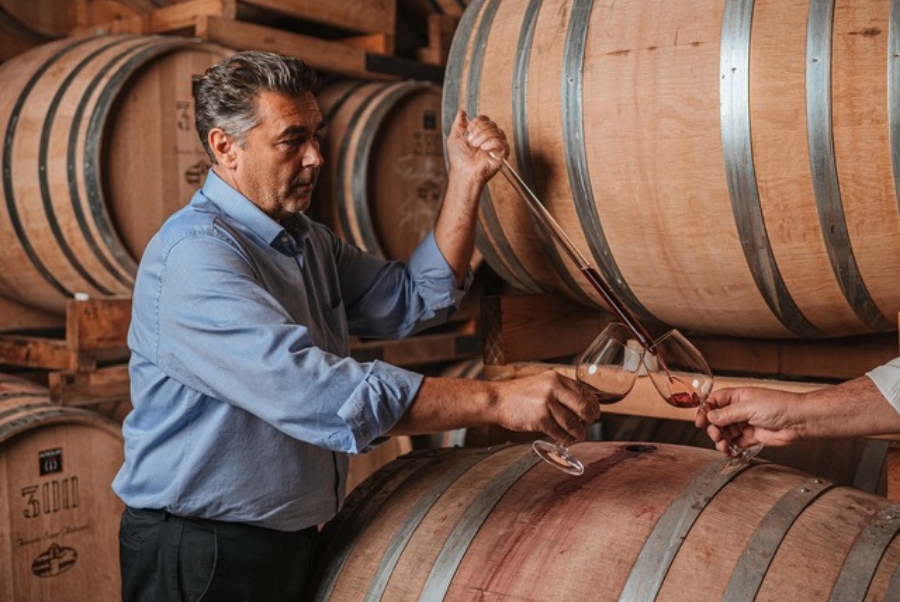 copiadiinternoarticoliwm 53