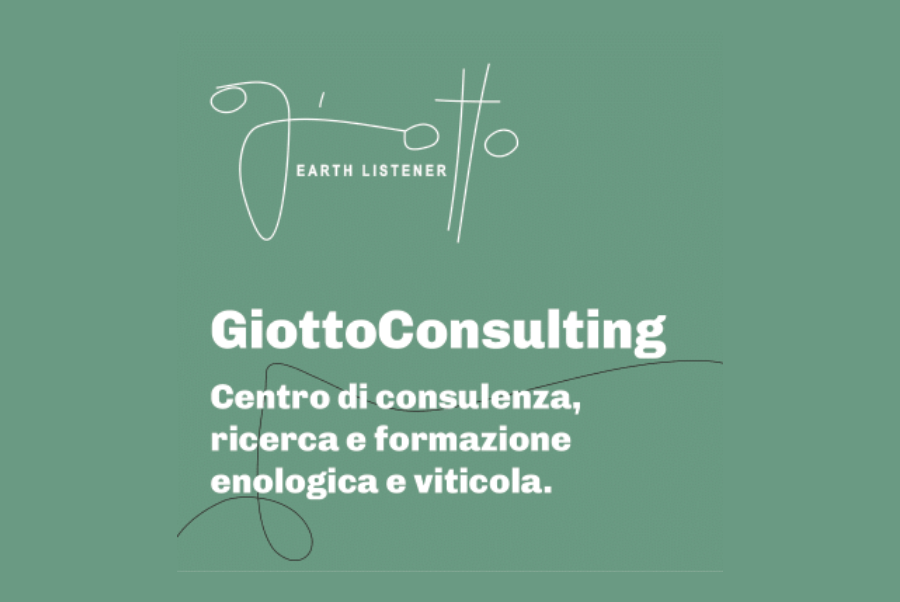 copiadiinternoarticoliwm 6