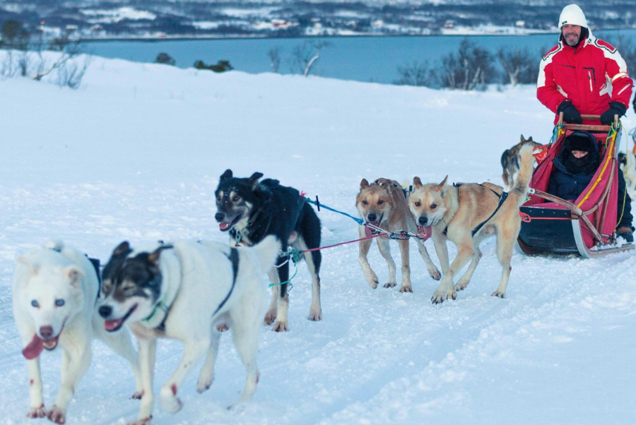 copiadiinternoarticoliwm 77