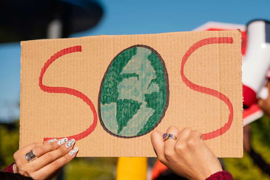 copiadiinternoarticoliwm 81