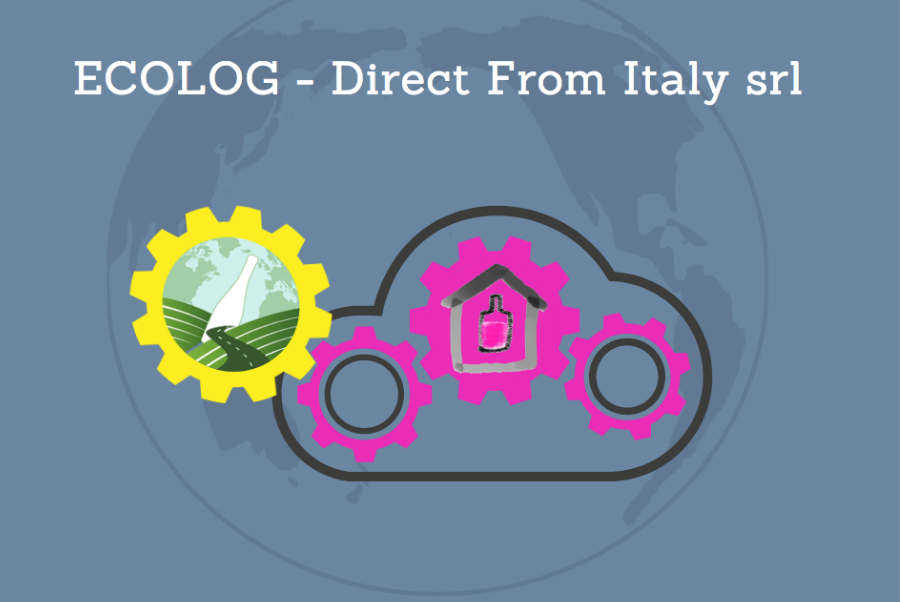 copiadiinternoarticoliwm 96