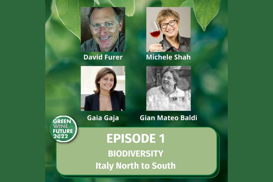 copiadiinternoarticoliwmgwf 1