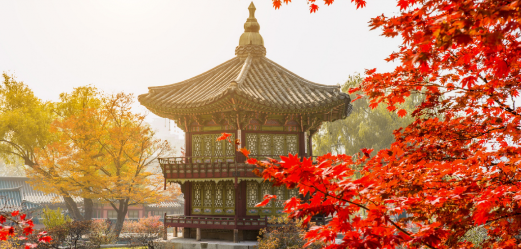 coreadelsudlasetedivinoitaliano