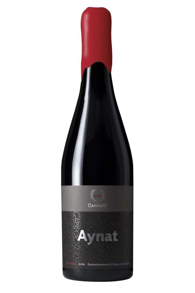 cva aynat ceralacca scaled