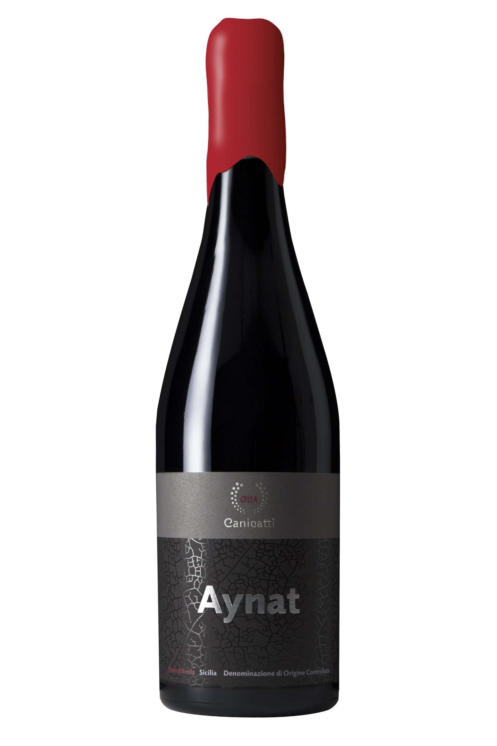 cva aynat ceralacca scaled