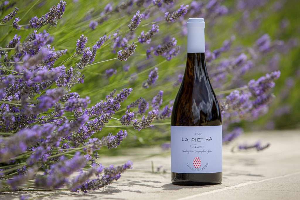 d149546cangelo trani