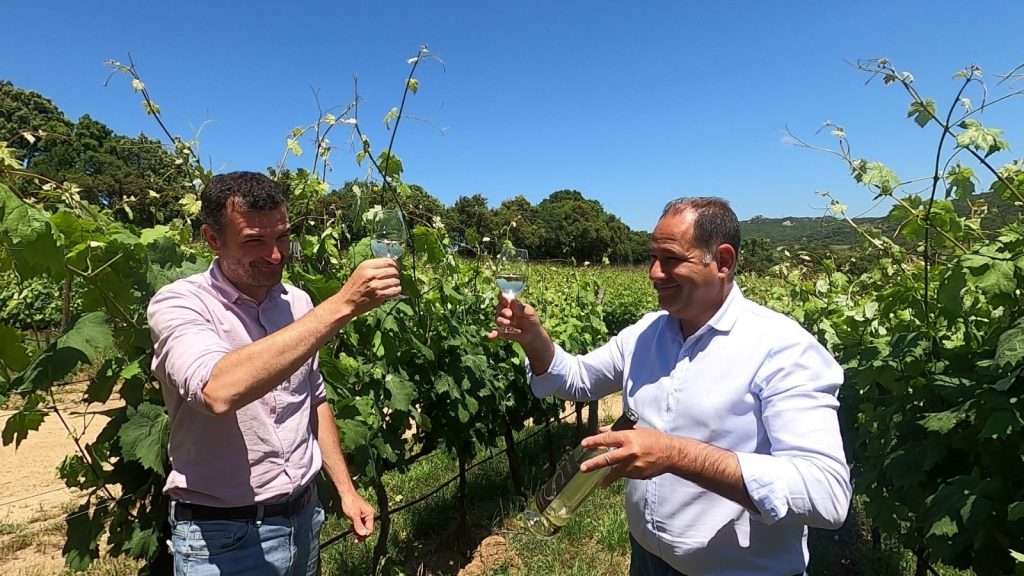 d2eac099 dce3 43d4 a2a7 1ab1075509ac