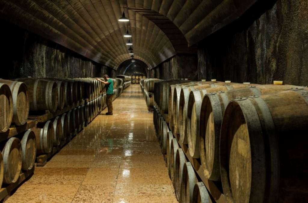 eb06ab02 5697 45a3 8c14 b01e709f469b