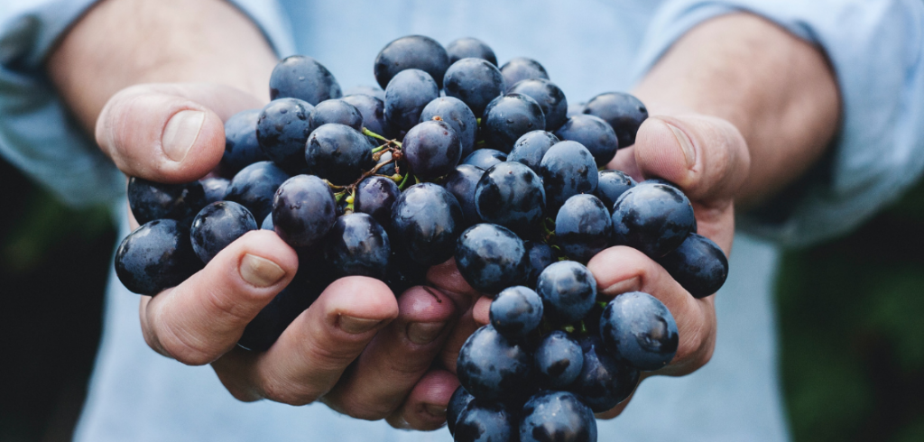 editorialefabiopiccolifondamenti