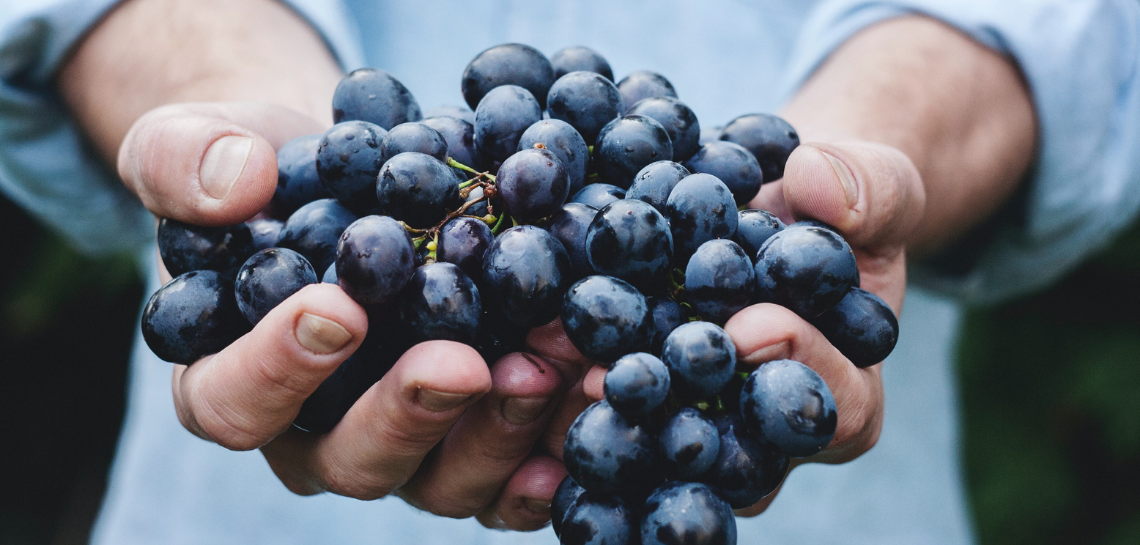 editorialefabiopiccolifondamenti